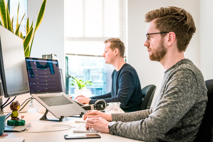Team collaborating with business software